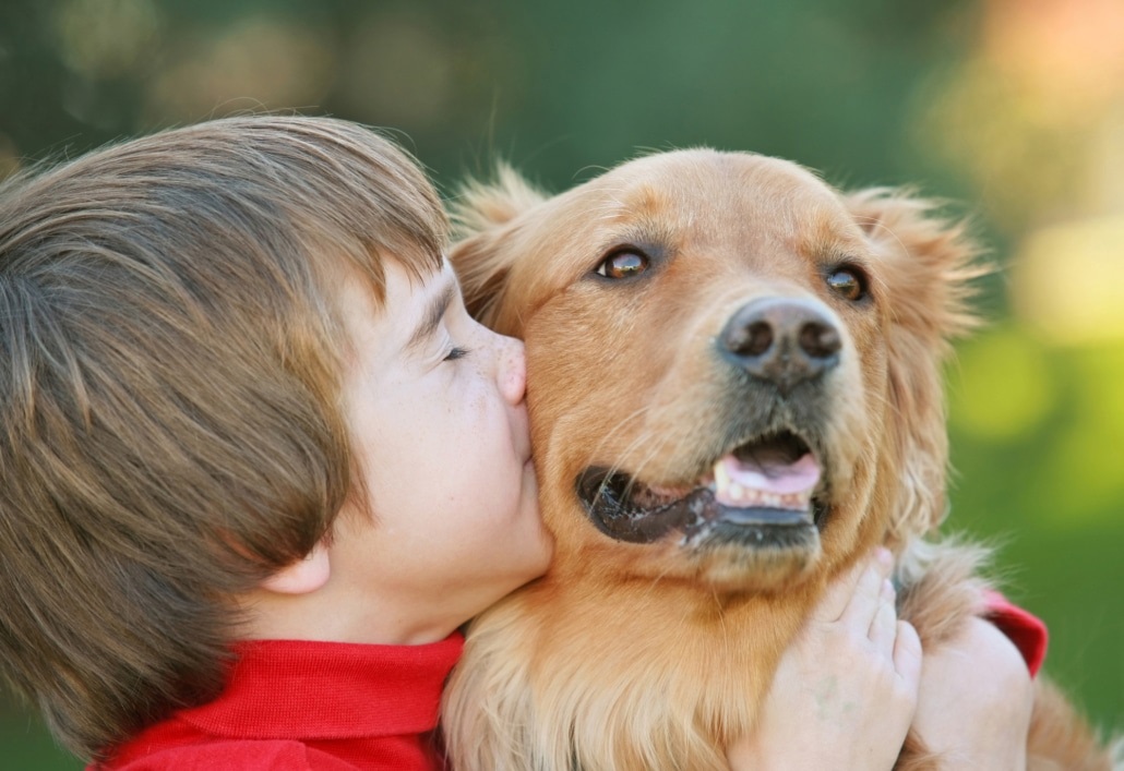11 Benefits of Enrolling Your Puppy in a Pet Preschool