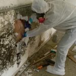 Signs that your home needs mold remediation