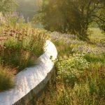 THE LIMITS TO BEAUTY: GARDENING AESTHETICS