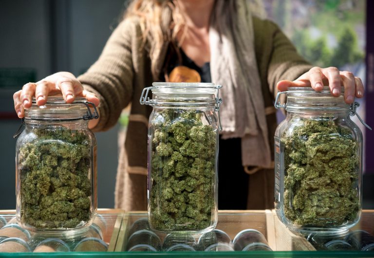 Why It Is Important to Select the Best Weed Delivery Winnipeg