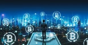 The Influence of Social Media on Bitcoin Price Movements
