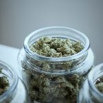 Close-up of jars filled with premium cannabis buds