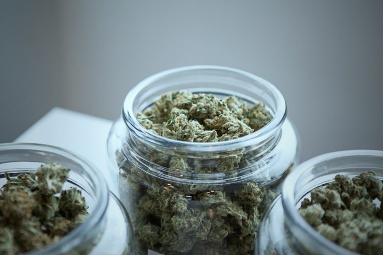 Discover Affordable Premium Weed Online Across Canada – Smart Choices for Quality, Value, and Convenience