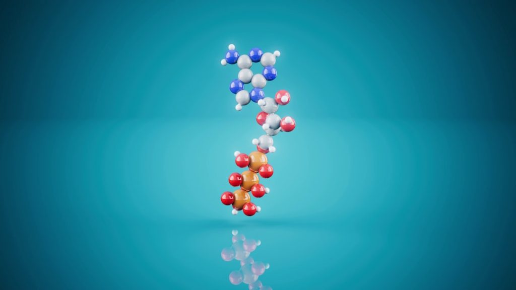 peptide stacks trending