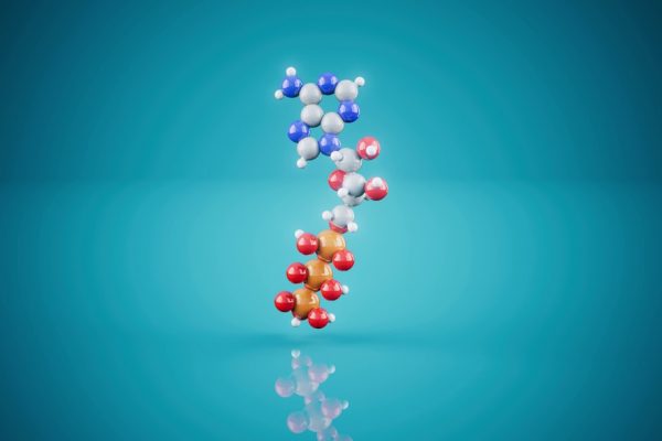 peptide stacks trending